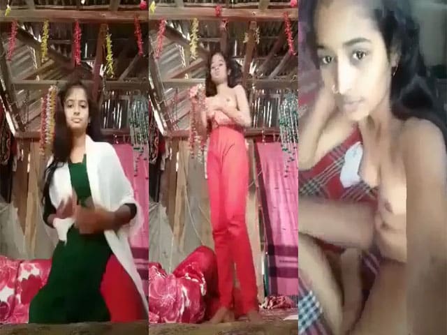 Teen BD Village Girl Nude Selfie MMS Scandal Video