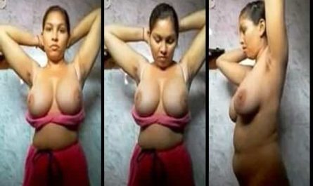 Huge Tits Desi Girl Stripping In The Bathroom