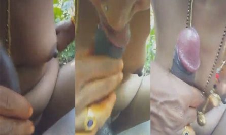 Telegu Couple Outdoors Nude Deep Blowjob Sex