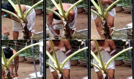 Lankan Hot Wife Outdoor Bath Captured On Cam