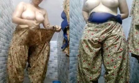 Super Chubby Indian Girl Big Boobs XXX Hot Show