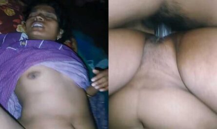 Hardcore Pussy Fucking Of Horny Telegu Housewife