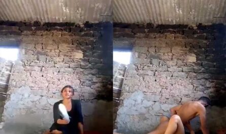 Village Horny Lovers Sex Scandal Desi Mms