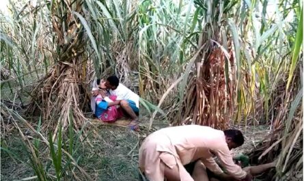 Indian Village Bhabhi Outdoor Hot Fucking Scandal