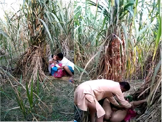 Indian Village Bhabhi Outdoor Hot Fucking Scandal